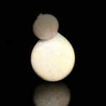 caciocavallo tartufo