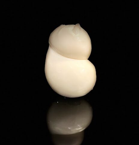 scamorzino scamorzino