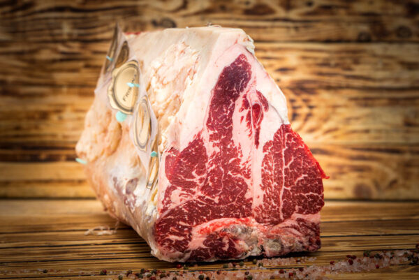 t bone frisona carne