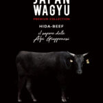 wagyu japan hida
