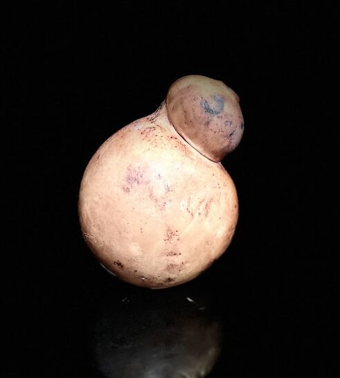 caciocavallo alla vinaccia